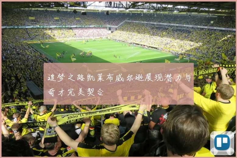 追梦之路凯莱布威尔逊展现潜力与奇才完美契合